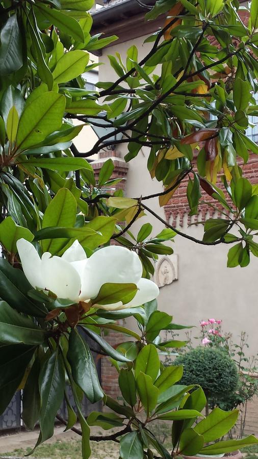 B&B San Martino Mede Екстер'єр фото